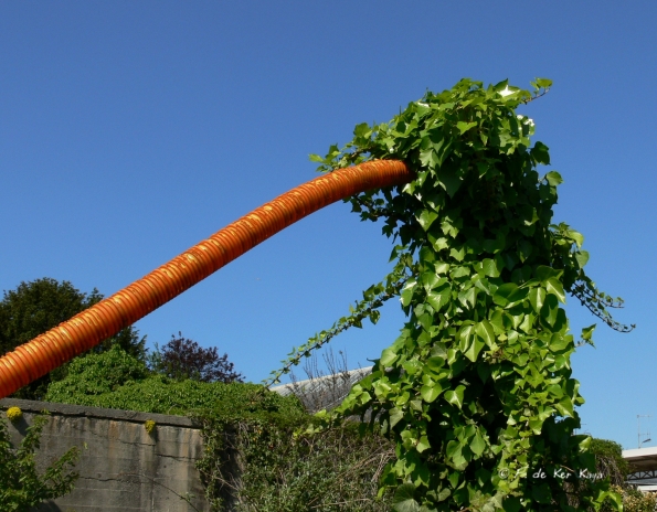 végétation industrielle